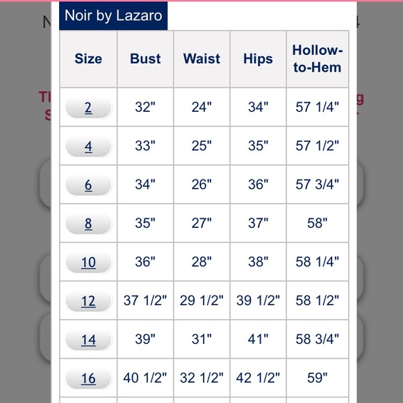 LAZARO NOIR BRIDESMAID/PROM DRESS SZ10 fits like 4 - Picture 5 of 5